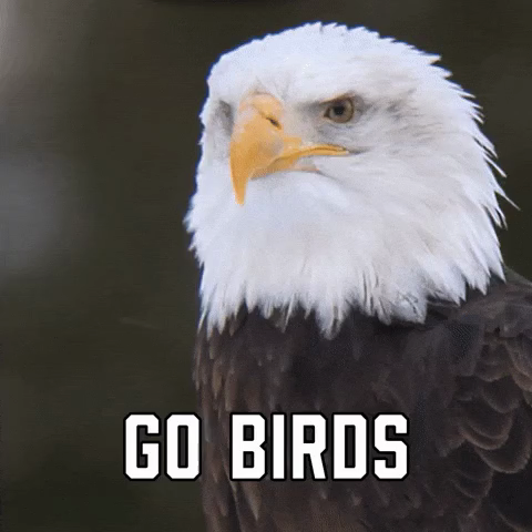 Philadelphia Eagles Sport GIF by Sealed With A GIF