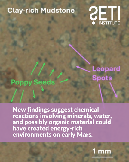 SETI Institute logo. Background image: Millimeter scale image of a clay-rich mudstone on Mars, labeled in green to show features called poppy seeds and in purple to show features called leopard spots. Text: New findings suggest chemical reactions involving minerals, water, and possibly organic material could have created energy-rich environments on early Mars.