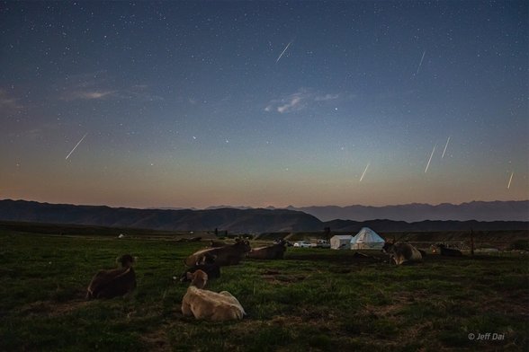 2019 August 15

The Perseids and the Plough
 * Image Credit & Copyright: Jeff Dai (TWAN)

Explanation: 
Despite interfering moonlight, many denizens of planet Earth were able to watch this year's Perseid meteor shower. This pastoral scene includes local skygazers admiring the shower's brief, heavenly flashes in predawn hours near peak activity on August 13 from Nalati Grassland in Xinjiang, China. A composite, the image registers seven frames taken during a two hour span recording Perseid meteor streaks against a starry sky. Centered along the horizon is the Plough, the north's most famous asterism, though some might see the familiar celestial kitchen utensil known as the Big Dipper. Perhaps the year's most easily enjoyed meteor shower, Perseid meteors are produced as Earth itself sweeps through dust from periodic comet Swift-Tuttle. The dust particles are vaporized at altitudes of 100 kilometers or so as they plow through the atmosphere at 60 kilometers per second. 

Authors & editors: Robert Nemiroff (MTU) & Jerry Bonnell (UMCP)
NASA Official: Phillip Newman Specific rights apply.
NASA Web Privacy Policy and Important Notices
A service of: ASD at NASA / GSFC
& Michigan Tech. U.