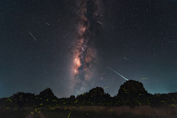 2025 August 2

Fireflies, Meteors, and Milky Way
 * Image Credit & Copyright: Daniel Korona

Explanation: 
Taken on July 29 and July 30, a registered and stacked series of exposures creates this dreamlike view of a northern summer night. Multiple firefly flashes streak across the foreground as the luminous Milky Way arcs above the horizon in the Sierra de Órganos national park of central Mexico, The collection of bright streaks aligned across the sky toward the upper left in the timelapse image are Delta Aquariid meteors. Currently active, the annual Delta Aquarid meteor shower shares August nights though, overlapping with the better-known Perseid meteor shower. This year that makes post-midnight, mostly moonless skies in early August very popular with late night skygazers. How can you tell a Delta Aquariid from a Perseid meteor? The streaks of Perseid meteors can be traced back to an apparent radiant in the constellation Perseus. Delta Aquariids appear to emerge from the more southerly constellation Aquarius, beyond the top left of this frame. Of course, the bioluminescent flashes of fireflies are common too on these northern summer nights. But how can you tell a firefly from a meteor? Just try to catch one. 

Authors & editors: Robert Nemiroff (MTU) & Jerry Bonnell (UMCP)
NASA Official: Amber Straughn Specific rights apply.
NASA Web Privacy, Accessibility, Notices;
A service of: ASD at NASA / GSFC,
NASA Science Activation
& Michigan Tech. U.