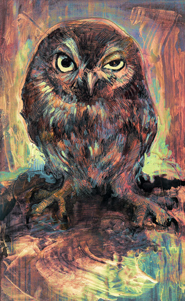 cute tiny owl look disappainted at the viewer. Drawn with ink and Whiteout on grungy paper