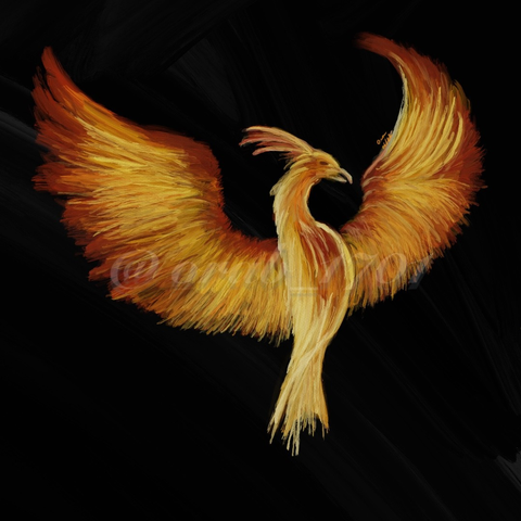 painting of a phoenix with its wings spread on a black background