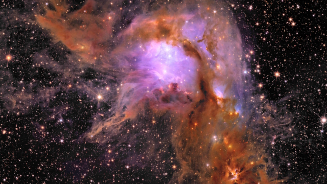 Star-forming region in our Milky Way as observed with Euclid.